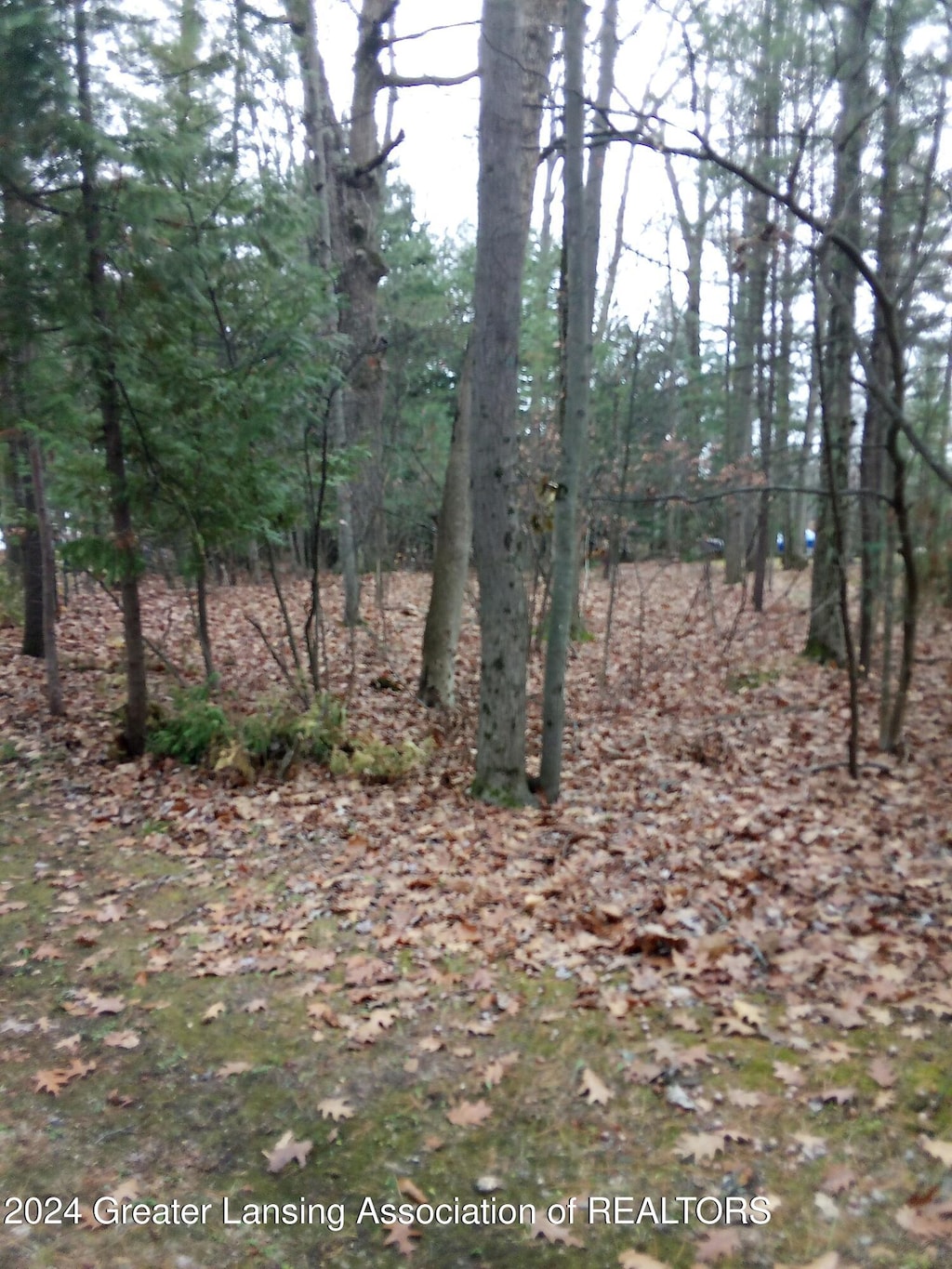 32 Deer Run Dr, Au Gres, MI 48703