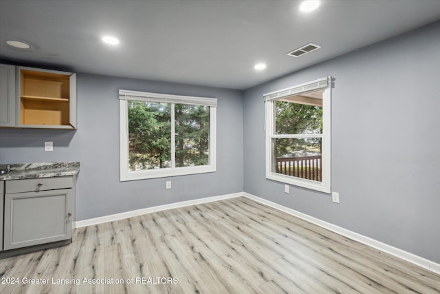 interior space featuring light hardwood / wood-style floors and plenty of natural light