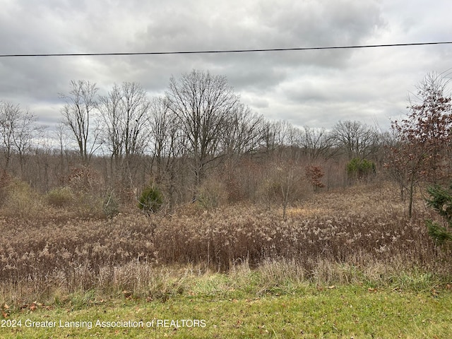 VL S Ainger Rd, Olivet MI, 49076 land for sale