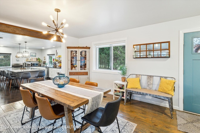 dining area with dark hardwood / wood-style floors and a notable chandelier