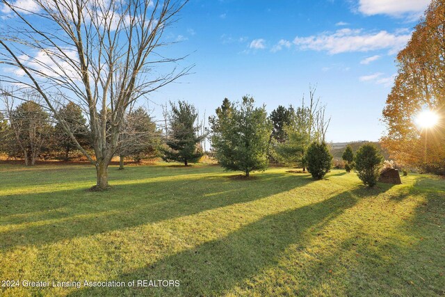 1048 Avery Rd, Saint Johns, MI 48879 - photo 37