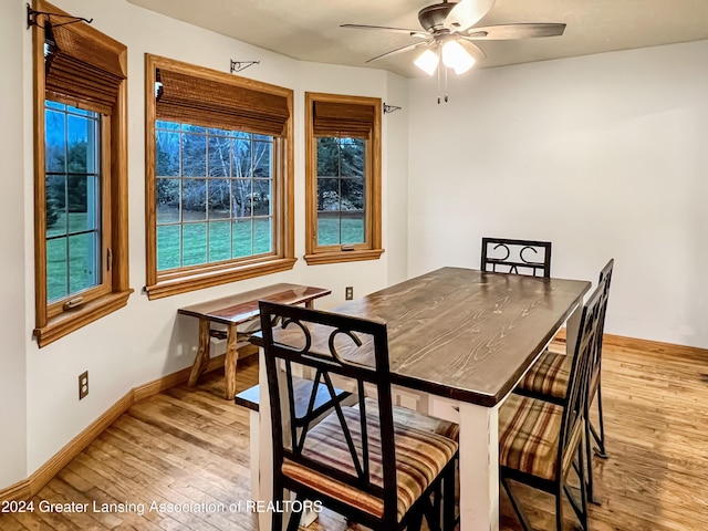 dining space with ceiling fan and light wood-type flooring