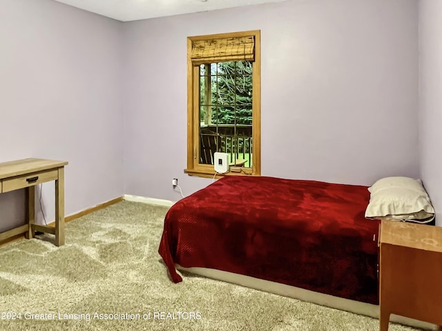 bedroom with carpet flooring