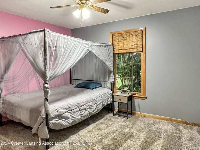 1048 Avery Rd, Saint Johns, MI 48879 - photo 20