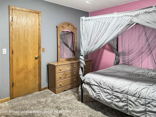 bedroom with carpet floors