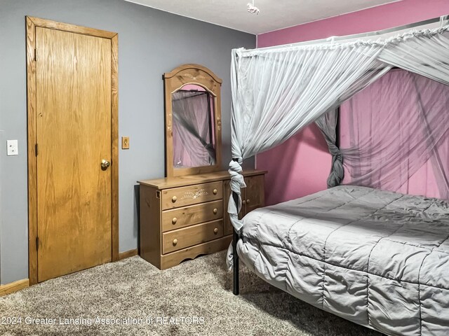1048 Avery Rd, Saint Johns, MI 48879 - photo 21