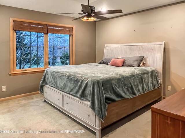 1048 Avery Rd, Saint Johns, MI 48879 - photo 45