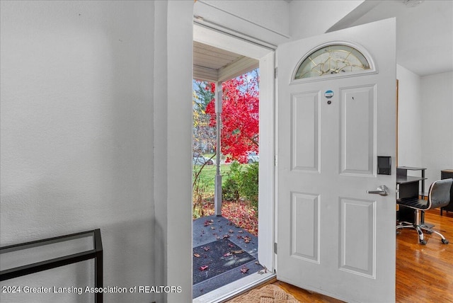 foyer entrance featuring hardwood / wood-style flooring and a wealth of natural light