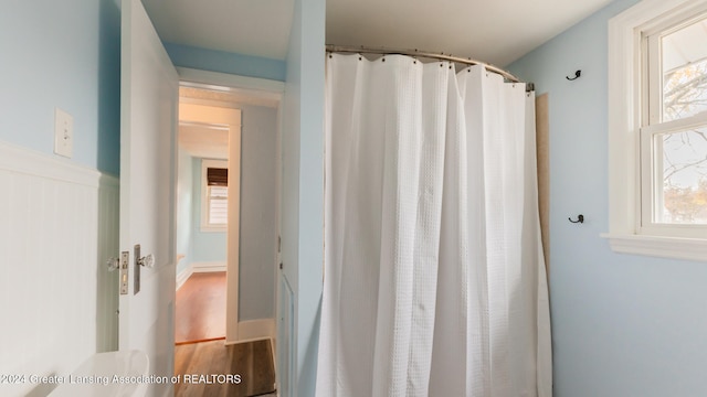 bathroom featuring hardwood / wood-style floors