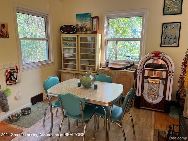 dining room featuring wood-type flooring