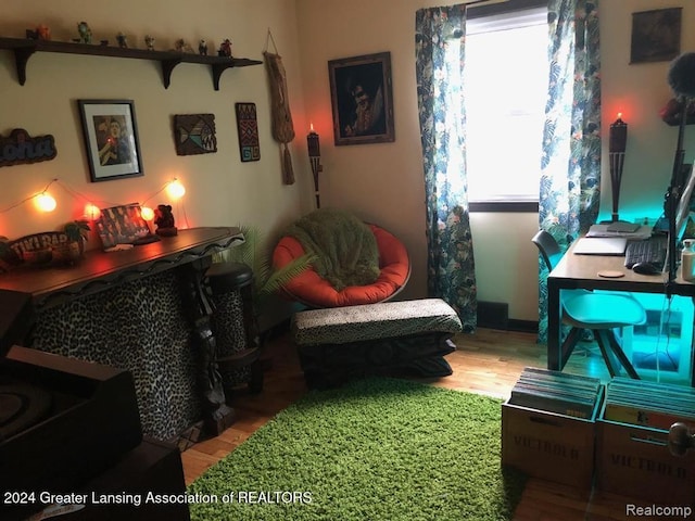 sitting room featuring wood-type flooring