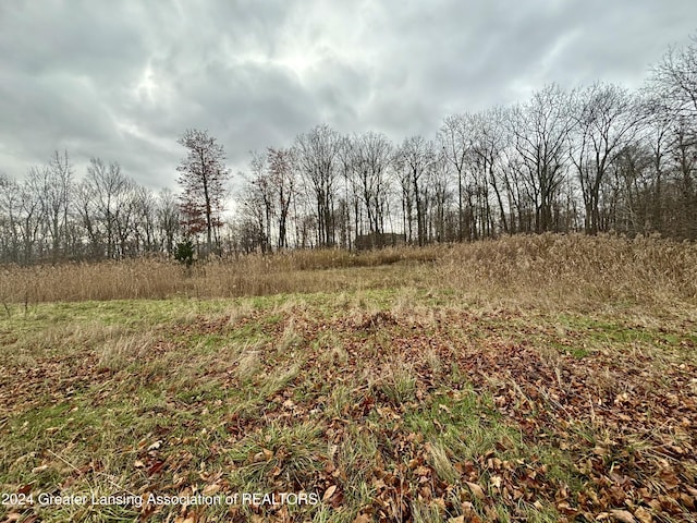 0 Thornapple, Perrinton, MI 48871