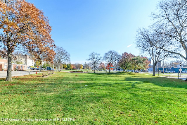 view of community with a lawn