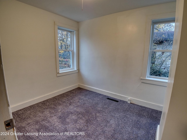 carpeted empty room with a healthy amount of sunlight