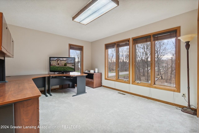 home office featuring a textured ceiling and light colored carpet