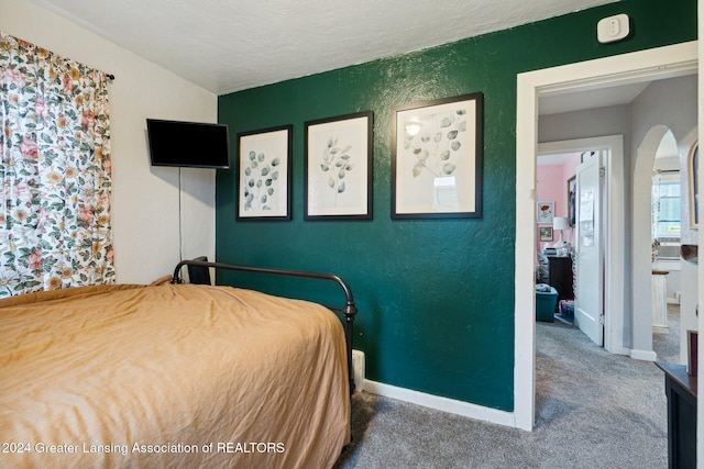 bedroom featuring carpet