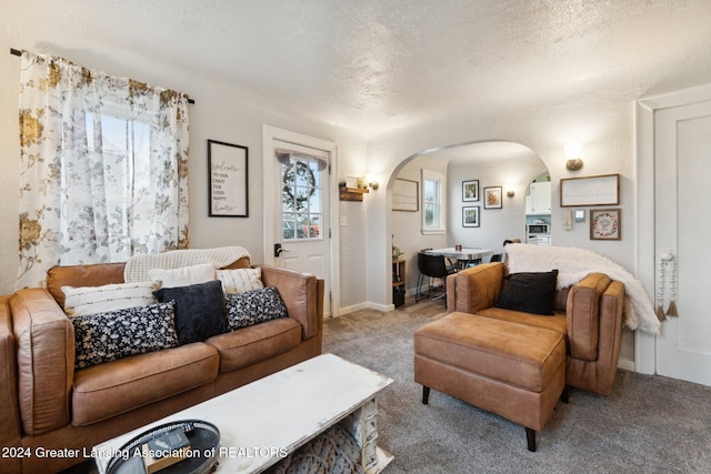 living room with carpet flooring and a textured ceiling