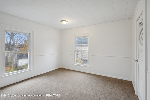 carpeted spare room featuring a wealth of natural light