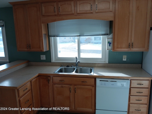 kitchen featuring white dishwasher and sink