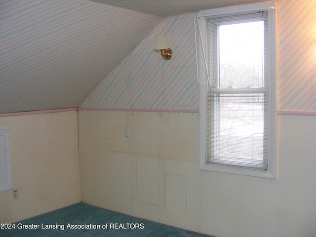 additional living space with lofted ceiling