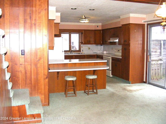 kitchen with plenty of natural light, electric range oven, kitchen peninsula, and white refrigerator