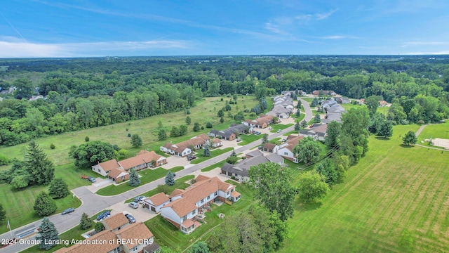 bird's eye view