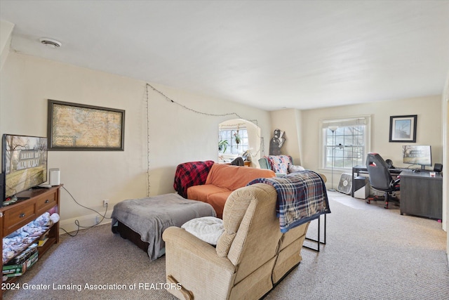 living room featuring light colored carpet