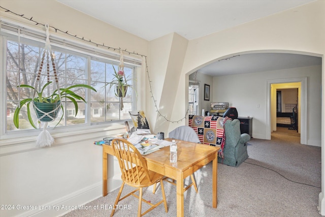 carpeted dining room featuring plenty of natural light