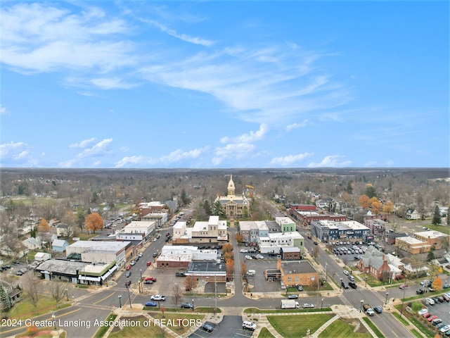 bird's eye view