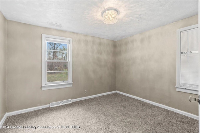 spare room with carpet floors and a textured ceiling