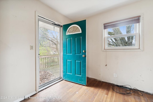 foyer entrance with hardwood / wood-style floors and plenty of natural light