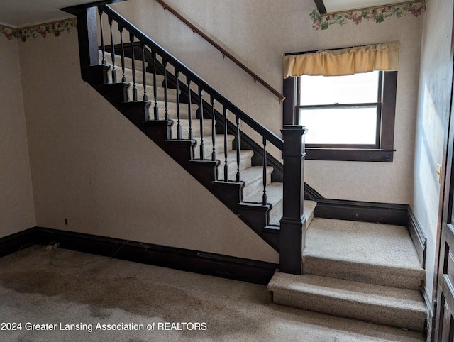 stairs featuring carpet floors