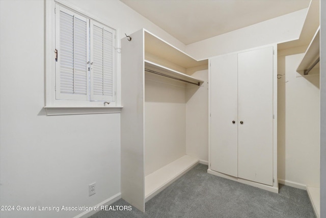 spacious closet with light colored carpet