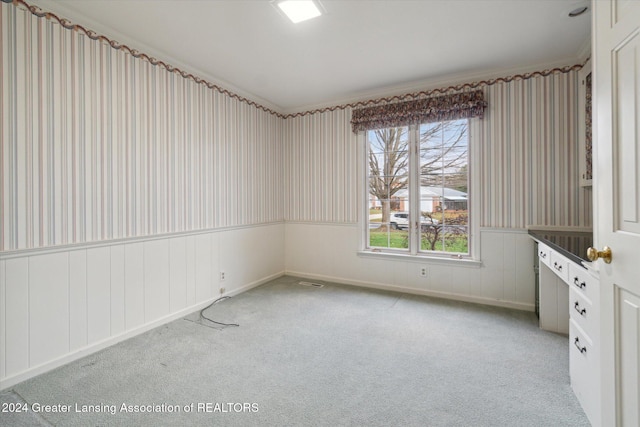 empty room featuring light carpet