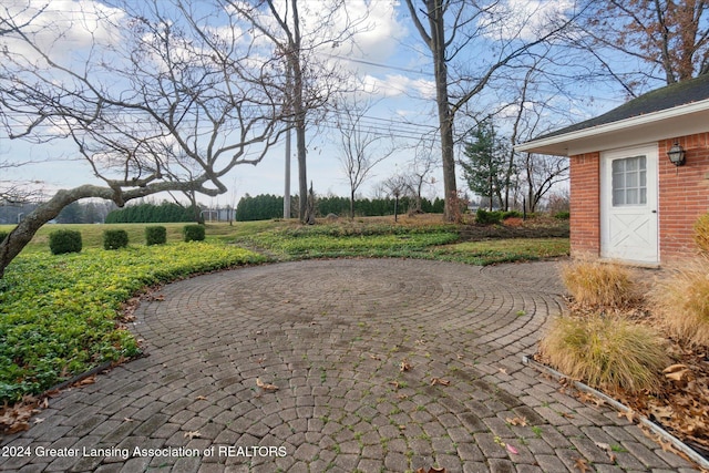 view of yard featuring a patio area