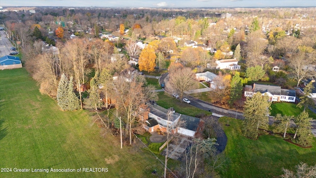 bird's eye view