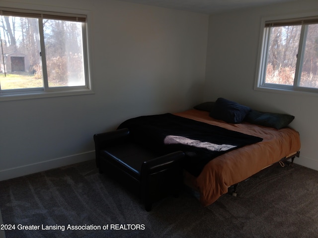 bedroom with dark colored carpet