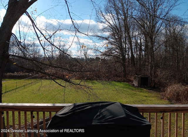 view of yard with a storage shed