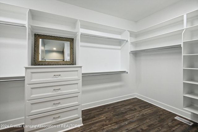 walk in closet featuring dark hardwood / wood-style floors