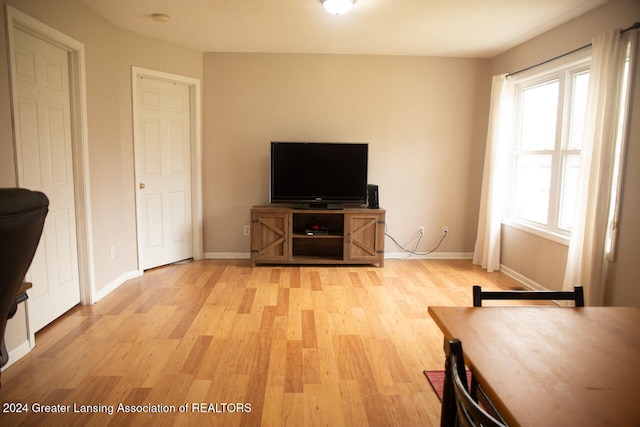 living room with light wood-type flooring