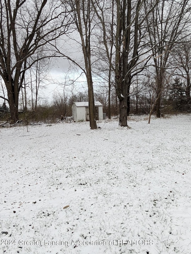 yard covered in snow featuring a storage unit