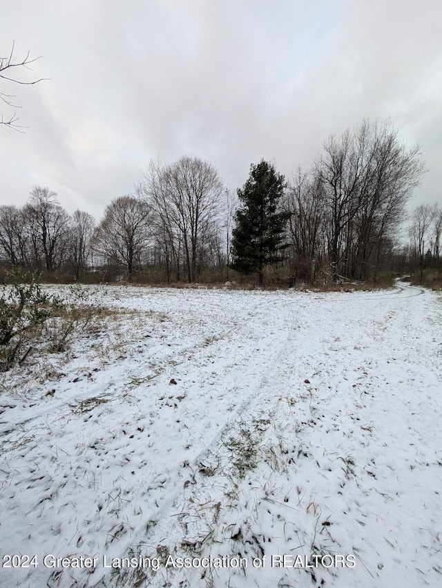 view of yard covered in snow