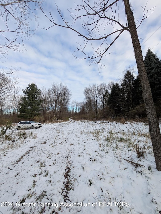 view of snowy yard