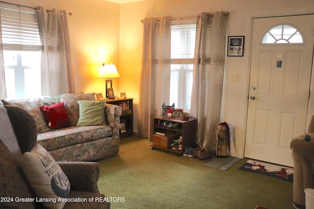 living room with carpet