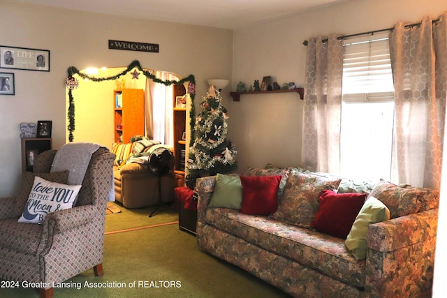 view of carpeted living room