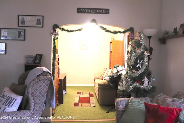 living room featuring carpet