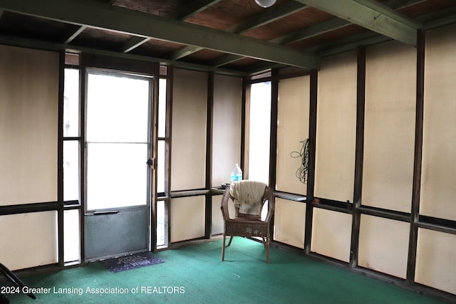 miscellaneous room featuring carpet