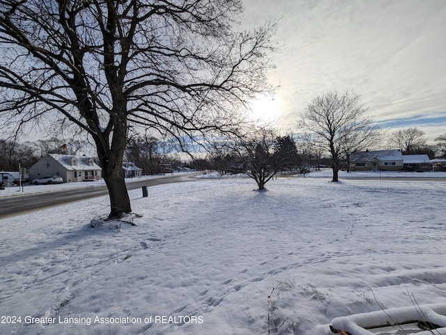 view of yard covered in snow