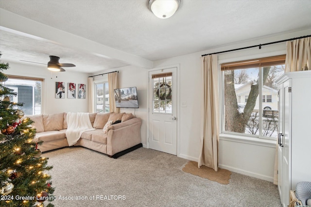 living room with light carpet, ceiling fan, a healthy amount of sunlight, and a textured ceiling