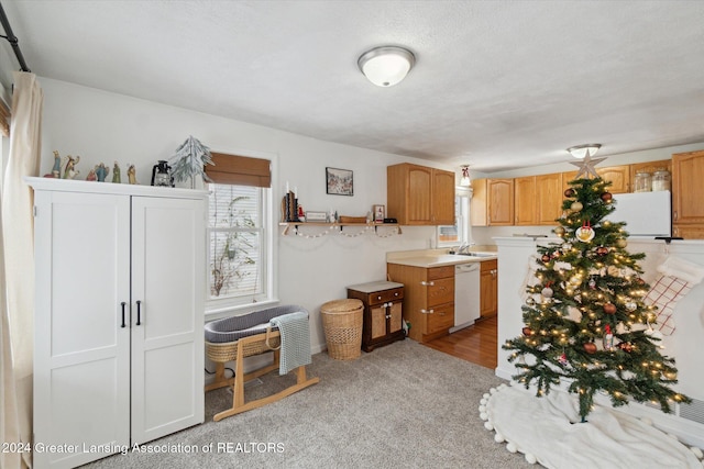 kitchen with light carpet, sink, white dishwasher, and a textured ceiling